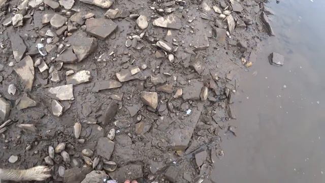 Рыбалка на судака. смотреть онлайн