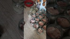 Домашняя тушёнка в автоклаве #тушенка #автоклав #тушенкаизсвиныны