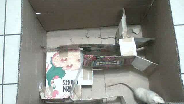 rat in a maze смотреть онлайн