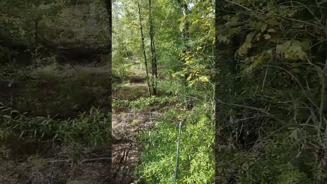 10/21/17 bow hunt - introduction смотреть онлайн
