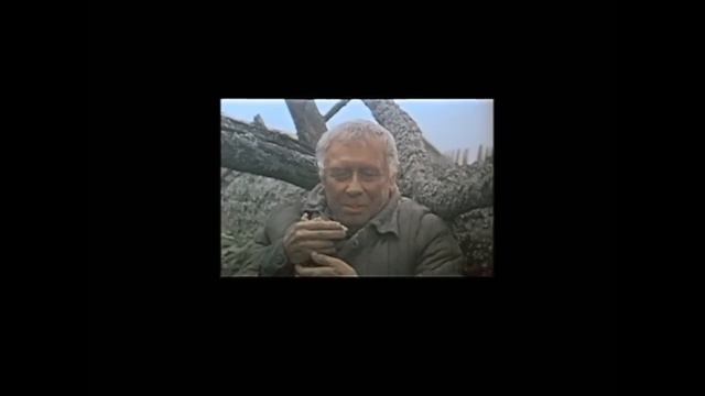 Холодное лето 53 - го. А.Папанов, последняя роль. смотреть онлайн