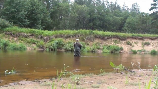 Секреты ловли ельца на речках Европейской полосы России (Часть 3) смотреть онлайн
