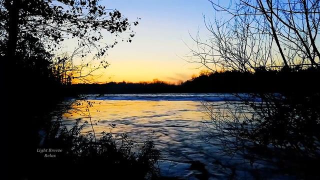 Ночной Лес и Звуки Природы - Шум реки, трели соловья... смотреть онлайн