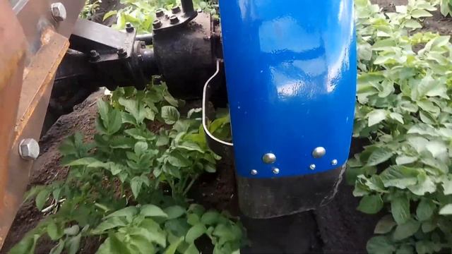Самодельный трактор окучивание картофеля (2021) смотреть онлайн