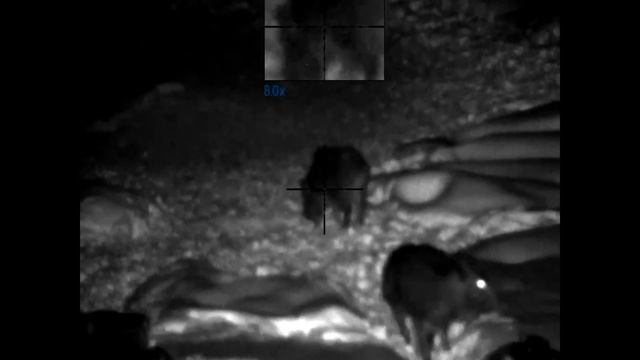 Охота на кабана с вышки #2 смотреть онлайн