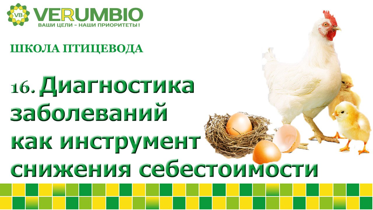 Диагностика заболеваний как инструмент снижения себестоимости