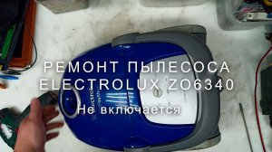 Не включается пылесос Electrolux? Ремонт модели ZO6340 своими руками!