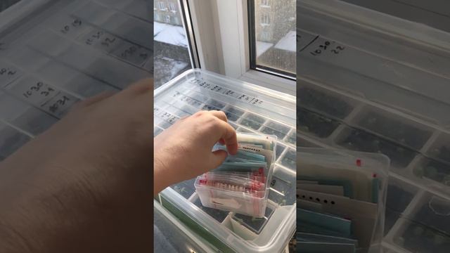 Погода говорит, что скоро посевная