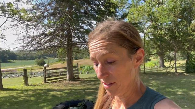 4 Flower Farm Bouquets To Deliver.  Japanese Beetle Update.