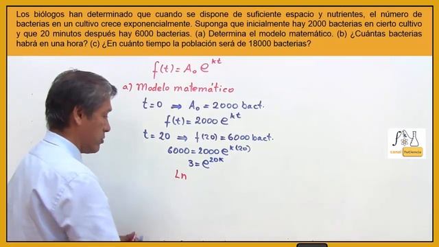 Función exponencial problema de crecimiento de bacterias смотреть онлайн