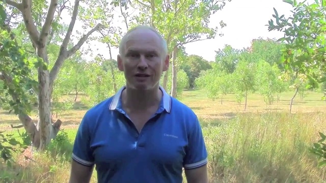 Порядок в голове, порядок в делах.