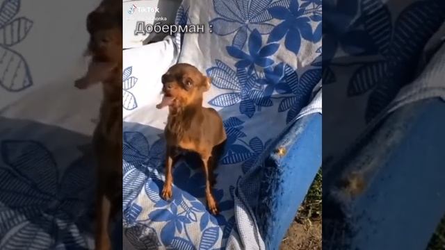 1675691445072_watermark.mp4