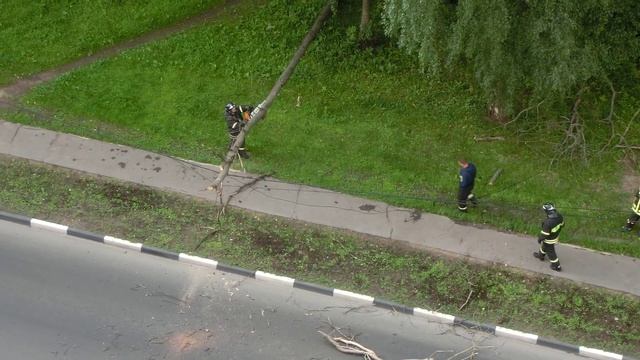 Упало дерево, порвало провода на Центральной смотреть онлайн