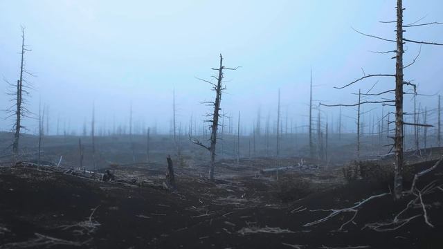 The Deadlands - Barren Wasteland Ambience | 2 Hours смотреть онлайн