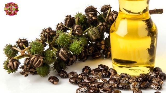 Круто и недорого : масла красоты, способные заменить дорогую косметику! смотреть онлайн