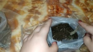 Как прорастить #георгины быстро и просто.