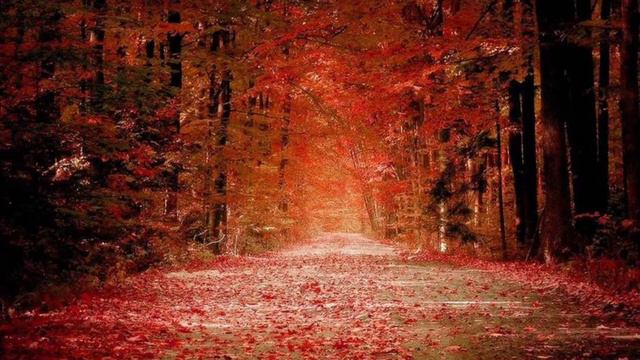 Chopin Nocturne Nº16 Pour Trio Avec Piano