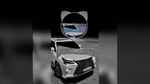 Последний роман (REMIX)