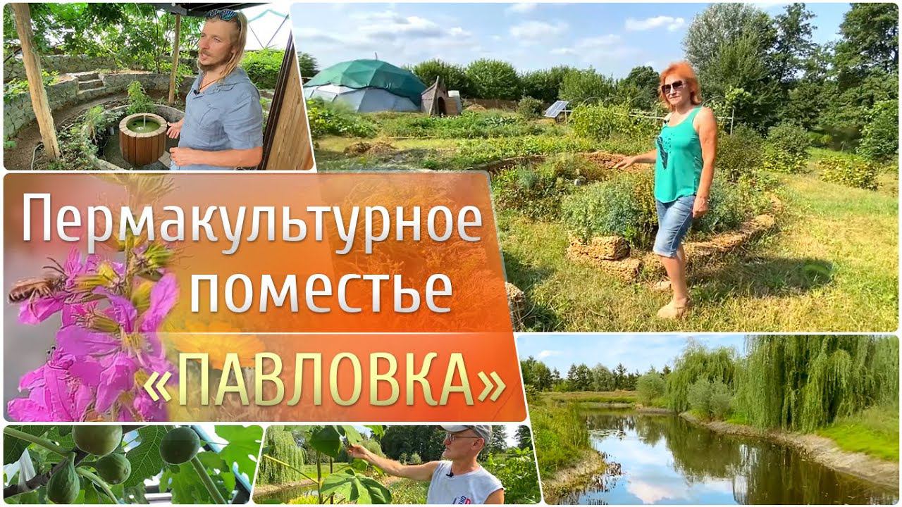 ПЕРМАКУЛЬТУРНОЕ ПОМЕСТЬЕ 