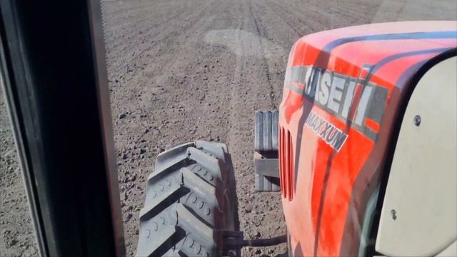 Сажаем картофель на Среднем Урале. Урожай 2022 для бизнеса уже с июля-августа? смотреть онлайн