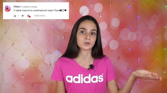 ПОМОГИТЕ ВЫБРАТЬ НОВОГО ХОМЯКА! / ПОКУПАЮ ХОМЯКА / НОВЫЙ ДЖУНГАРСКИЙ ХОМЯК / ALISA EASY PETS смотреть онлайн