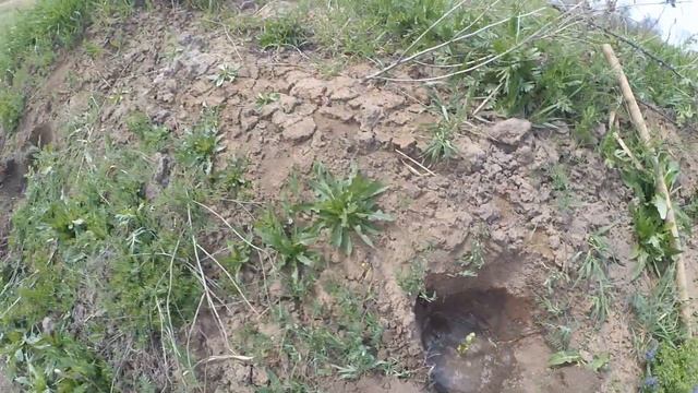 Наш пруд для полива 2 года спустя смотреть онлайн