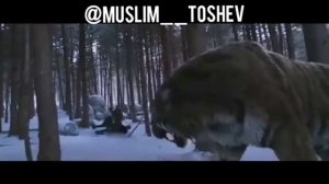 Я ненавижу когда мне врут в глаза