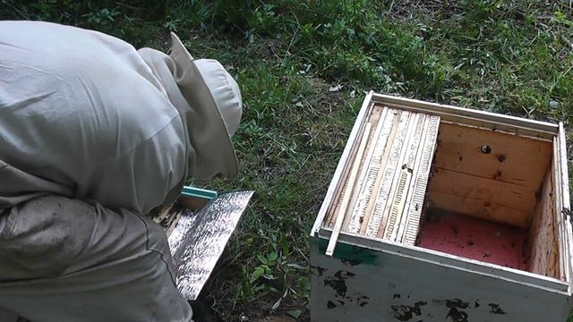 улей после медведя смотреть онлайн