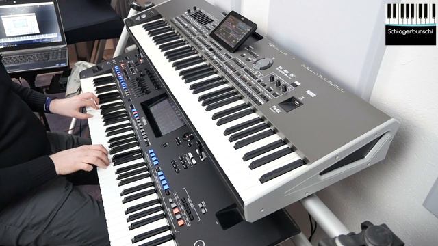 Ich würd dich so gern wiedersehn (Andrea Berg) - Coverversion Schlagerburschi смотреть онлайн