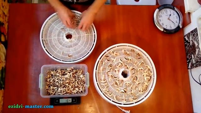 Искусство и Технологии Творчества