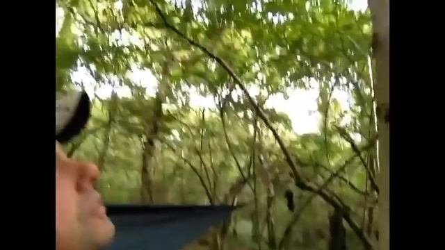 A non VR to the bearded clam смотреть онлайн