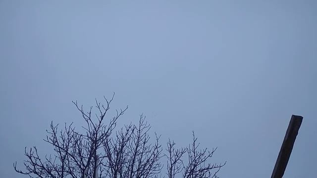 гоняю гривунов 10 января 2019 смотреть онлайн