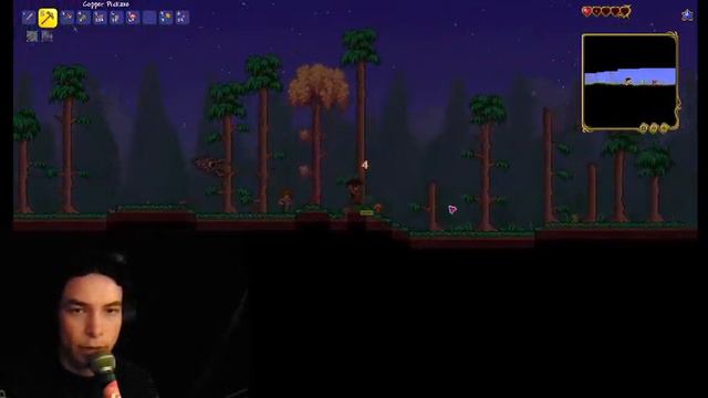 Terraria is More Peaceful смотреть онлайн