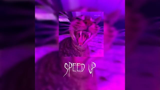 ¡треки из тт 2023¡ ||speed Up||