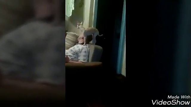 Басков отдыхает Филя зажигает смотреть онлайн
