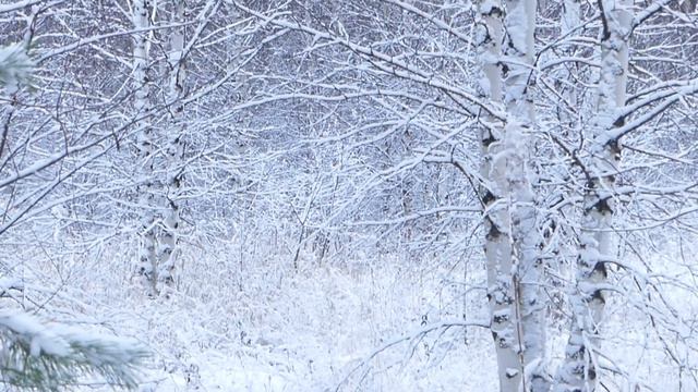 Снежная мелодия смотреть онлайн