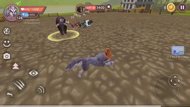 СИМУЛЯТОР ВОЛКА в WILDCRAFT открываем СУНДУКИ в мульт игре смотреть онлайн