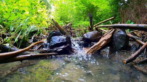 Звуки природы. Расслабляющая музыка для сна. Удивительные природные пейзажи и расслабляющей музыки смотреть онлайн