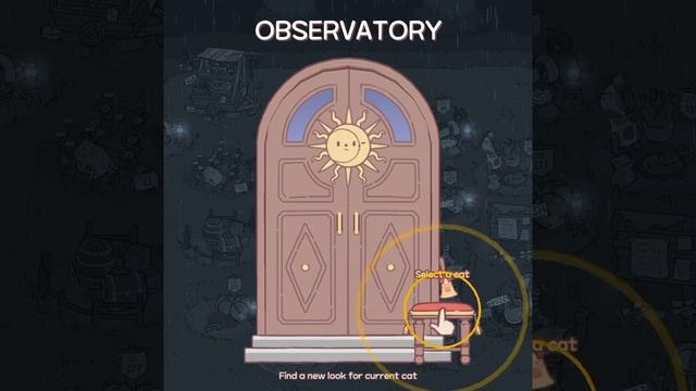 Observatory Song | Cats&Soup