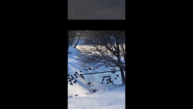 Фото Обзор-Петергоф-2022