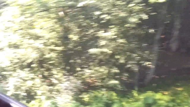 роза хутор канатка спуск 4.mp4 смотреть онлайн