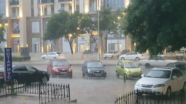 Tashkent ПОГОДА СЕЙЧАС смотреть онлайн
