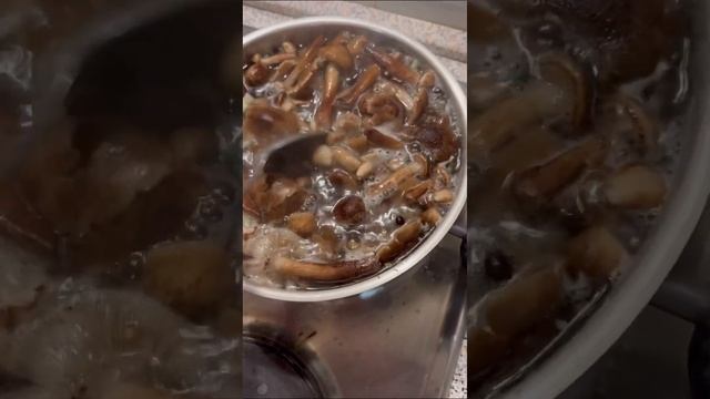 Горячий засол Грибов опята осенние, Говорушка дымчатая и фиолетовая рядовка