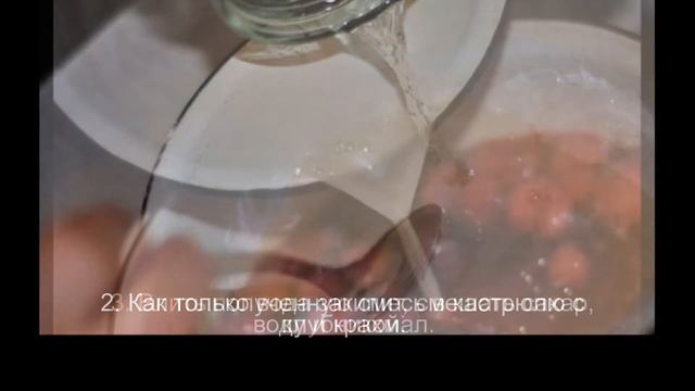 Фильмы о Природе и Экологии