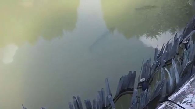 Версальский дворец - Франция - Фонтаны / #Франция смотреть онлайн