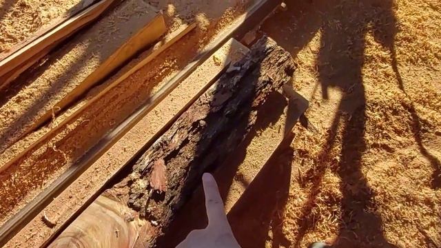 24 часа с мужем на пилораме. ЭТО НЕ ЖЕНСКАЯ РАБОТА смотреть онлайн