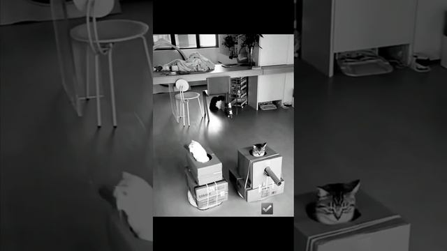 1000001998.mp4 смотреть онлайн