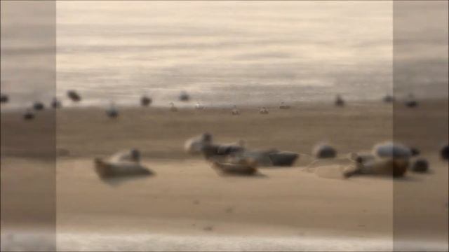 Norden Norddeich - Urlaub an der Nordsee смотреть онлайн