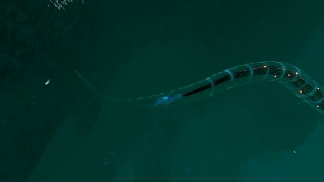 NEW MODELS For Reaper Leviathan NEW SOUNDS For Ghost Leviathan And MORE! Subnautica News And Update смотреть онлайн