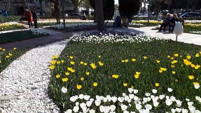 Турция.Алания.Тюльпаны. смотреть онлайн